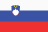 Перша ліга