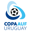 Кубок Уругваю