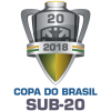 Кубок Бразилії U20